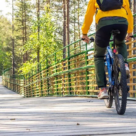 In Lapland - Sointuilevi A73 Lägenhet